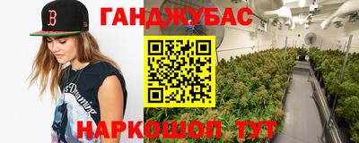 дживик Тверь
