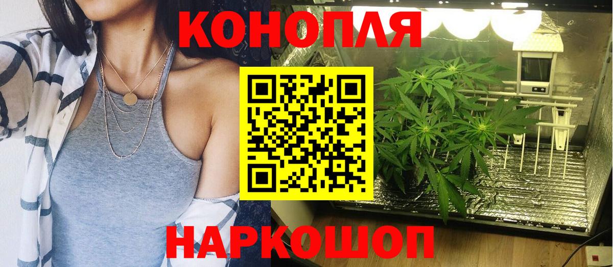 Шишки марихуана план Нефтекамск